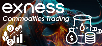 Exness Commodities Trading